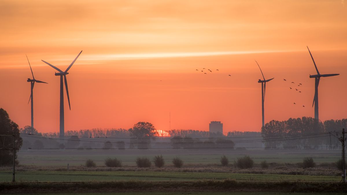 Daň za energii z větru: mrtví ptáci. Pomoci má obarvení turbín